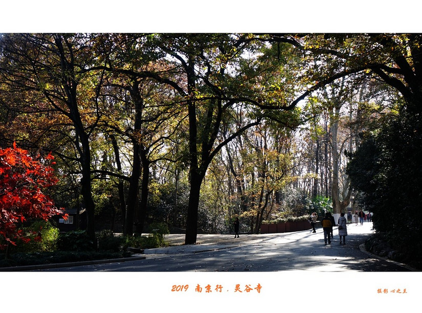 六朝金粉地最忆是金陵啥意思,六朝金粉地十里秦淮