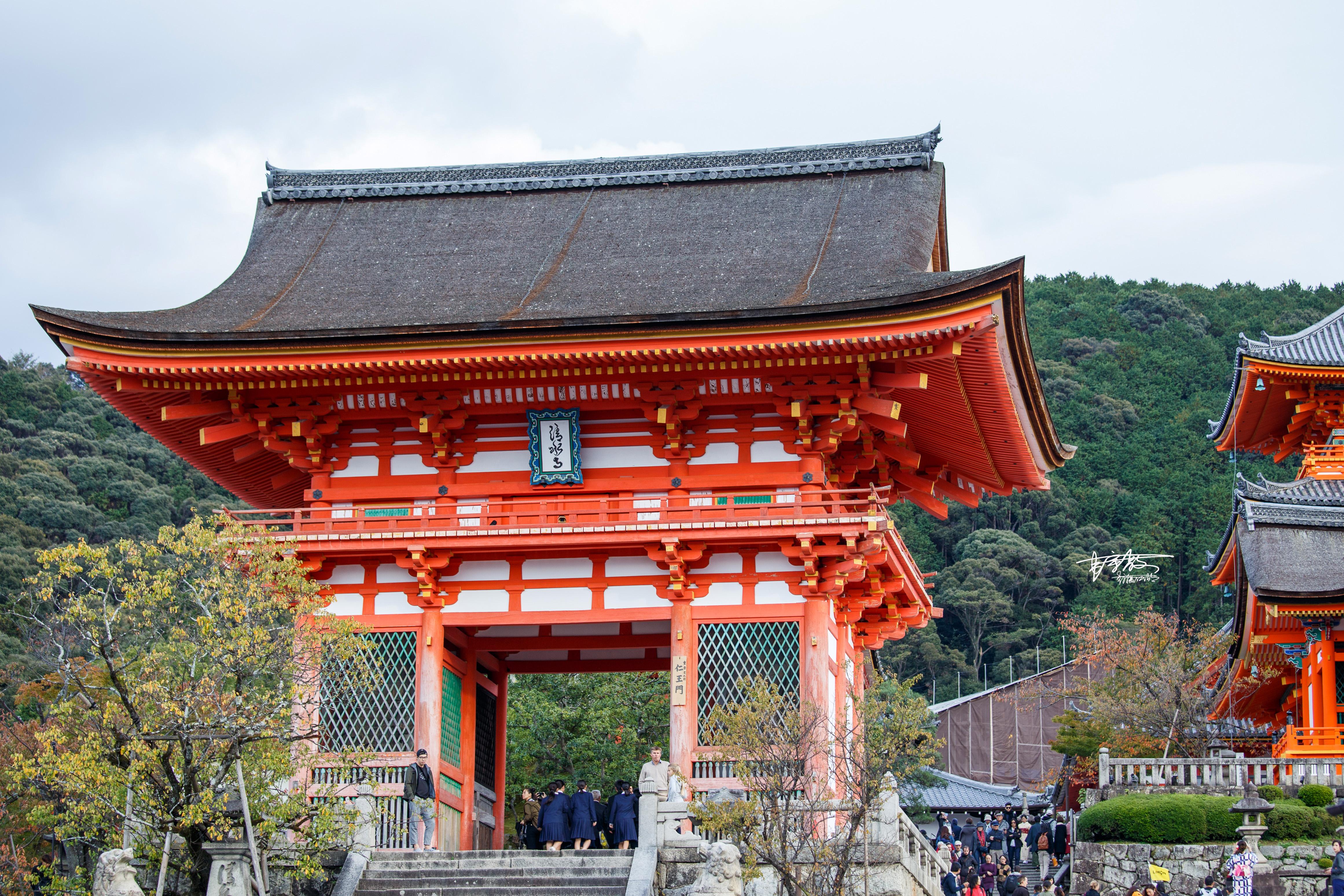 八坂神社和清水寺有何不同,伏见稻田清水寺八坂神社