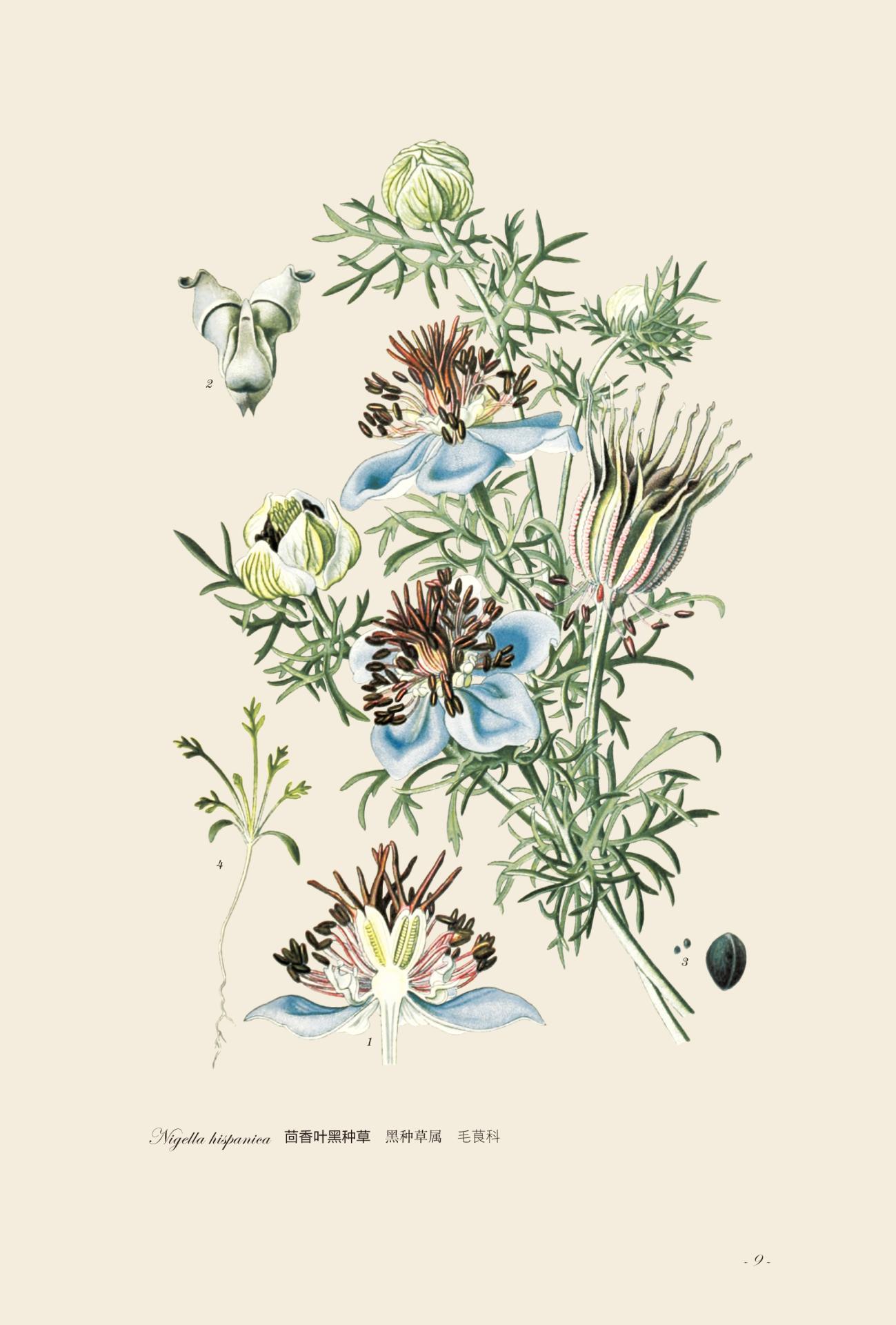 园艺花卉图谱这本书怎么样,中国花卉园艺