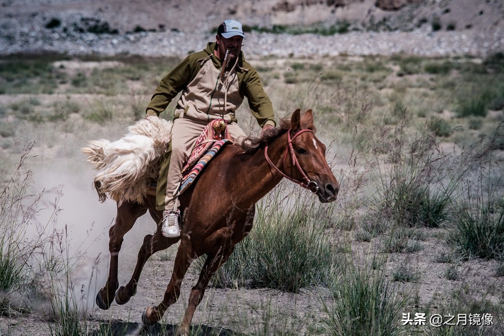 铁血雄鹰全剧,铁血雄鹰全文阅读