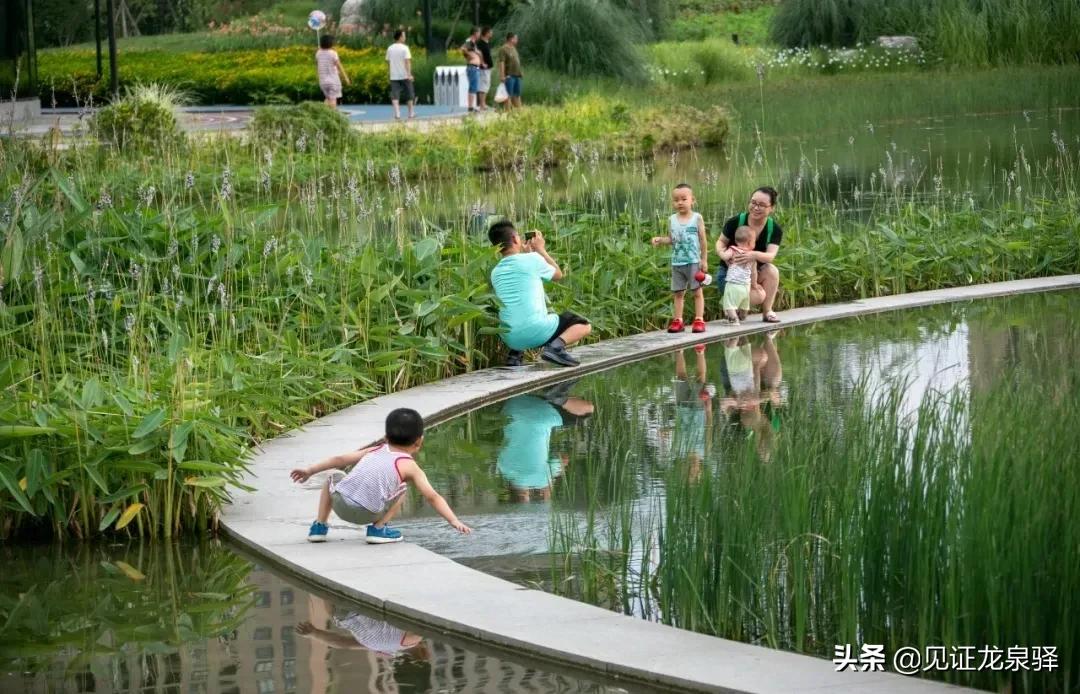 回眸十三五巨变,回眸十三五成果