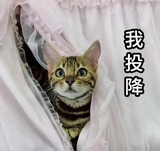 肯德基与麦当劳他们俩之间的故事,肯德基麦当劳背后的男人