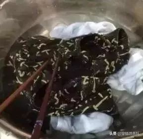 住宾馆为什么在马桶里倒一壶开水,为什么住酒店时要倒一壶开水