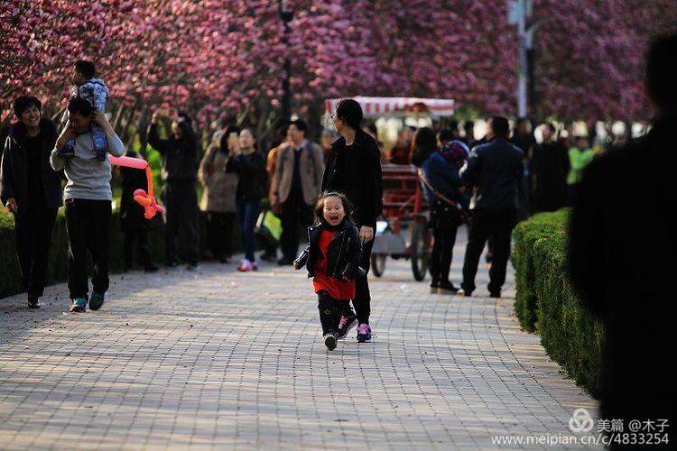 儿童摄影：童年是金色的，满满的幸福