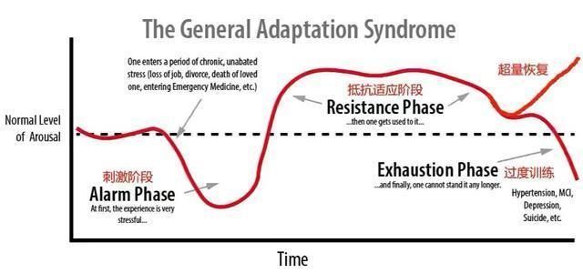 萌妹子小姐姐身材,萌妹的脸魁梧的身材