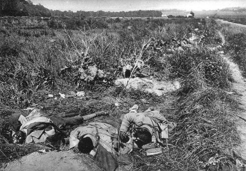 战争中温情的一幕,一战残酷场面