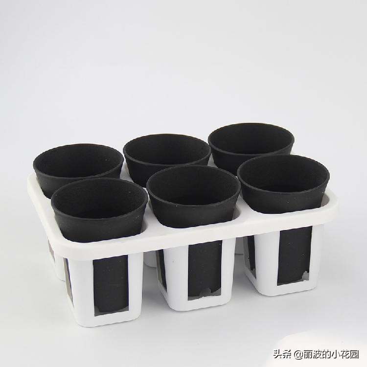 多肉植物用塑料花盆好吗,多肉适合什么土盆栽养殖