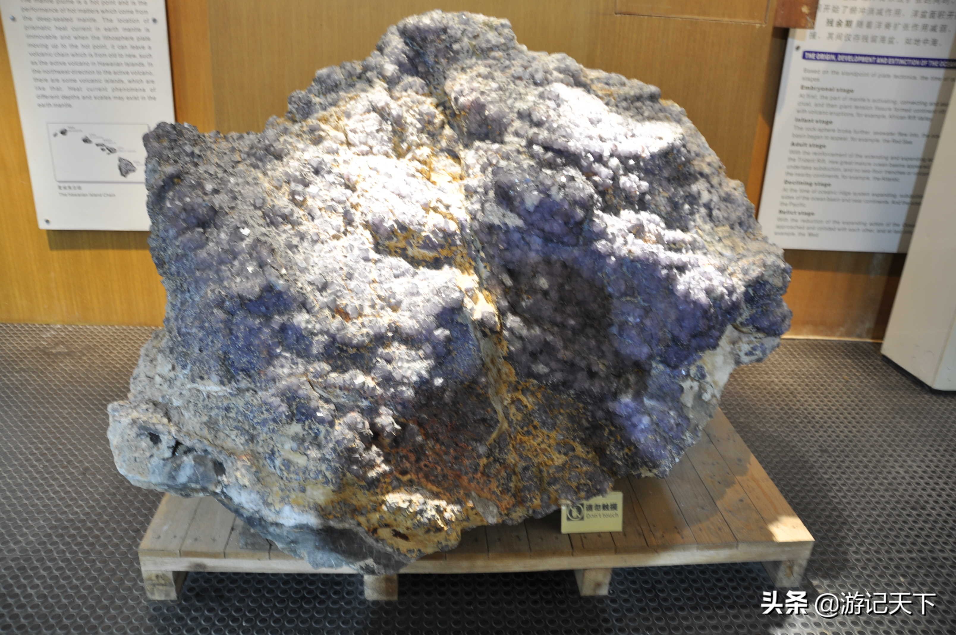 参观上海东方地质科普馆,上海东方地质科普馆需要预约吗