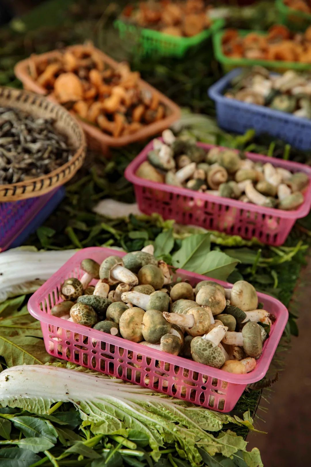 云南旅游最便宜的机票,云南旅游机票最便宜的时候