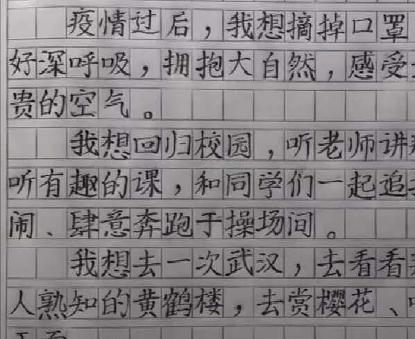 小学生满分作文字迹堪比印刷体,小学生满分作文原图