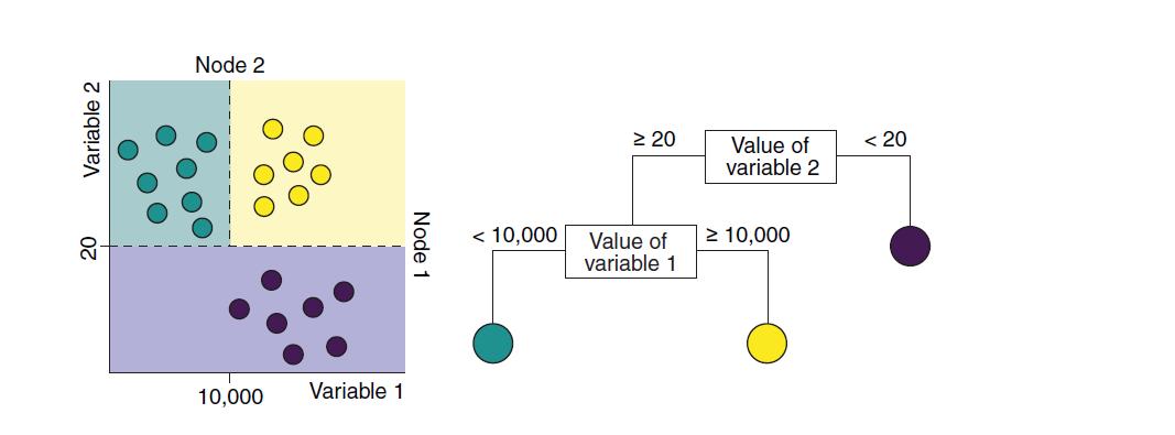 r语言经典机器学习算法包,基于树的算法