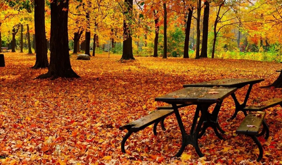 濡堝鐨勭溂鐫涘湪鍝噷,濡堝鐨勭溂闀滀笉瑙佷簡