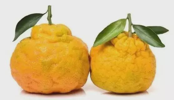 100种罕见水果排名,罕见的30种水果图片视频