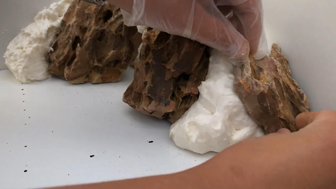 小草缸造景入门水草基本知识,小型草缸造景入门水草基本知识