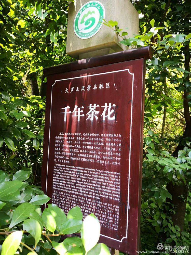 摩天石下再续罗山缘--6.16大罗山印记