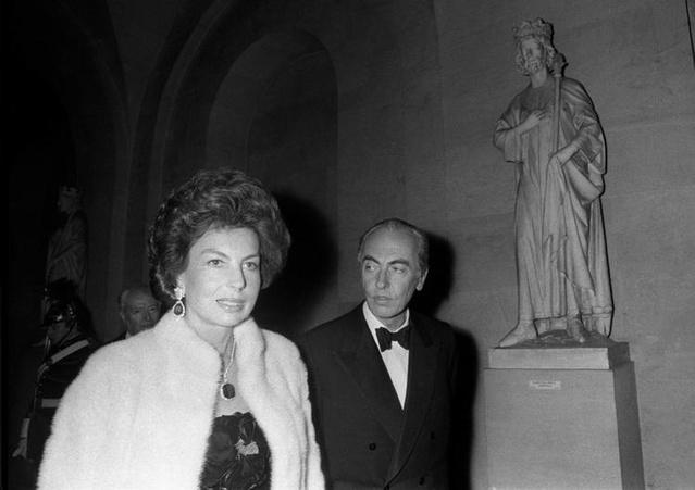 鐧句嚎璞棬鏈夐挶,鐧句嚎璞棬閮芥湁鍝簺