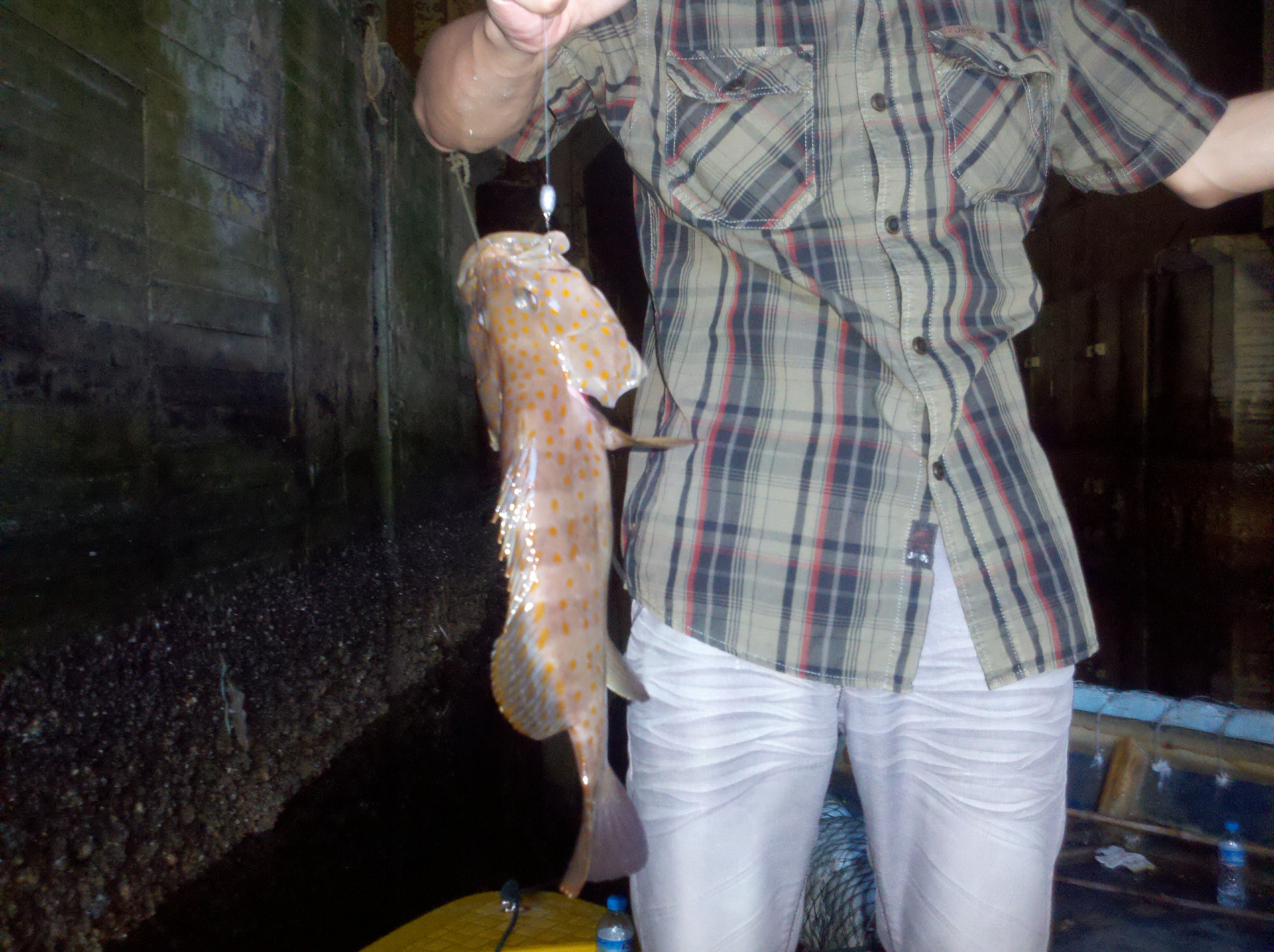 手丝钓法能钓鲫鱼吗,手钓有几种钓法