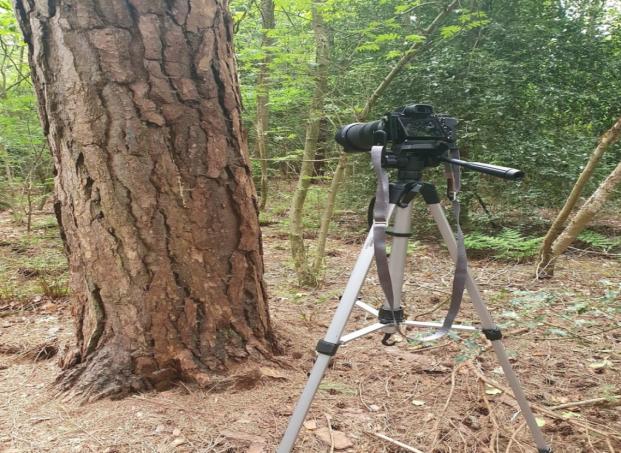 ue4零基础建模,ue4渲染模型怎么加天空图