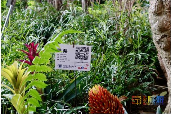 夏天就要去没有太阳的城市避暑,夏天就是要出去玩