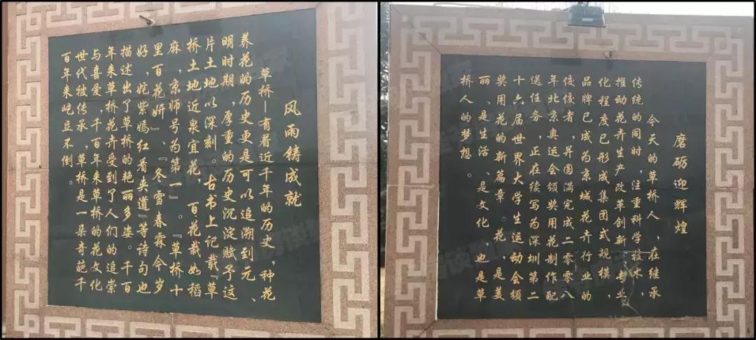 价格洼地板块,价格洼地是好是坏