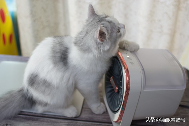 冬天用暖风机取暖好吗,南方取暖全靠抖