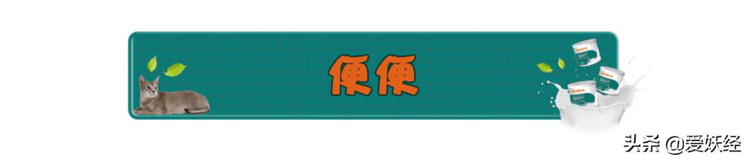 reddog红狗羊奶粉测评,红狗狗狗羊奶粉测评