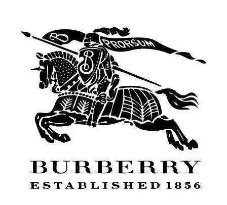 女装品牌排行榜前十名奢侈品牌,女装奢侈品牌