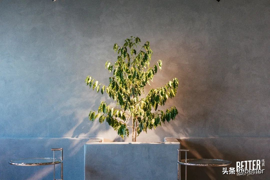 汉口咖啡一条街,汉口最值得去的咖啡馆排名