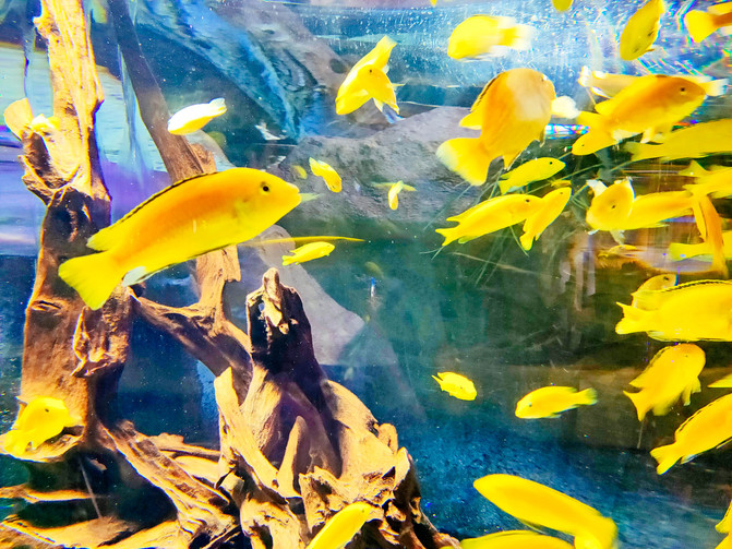 带你看不一样的迪拜,带你感受不一样的迪拜