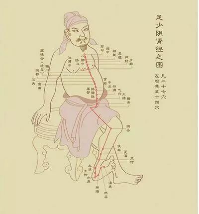 疏通经络穴位推拿,经络穴位推拿