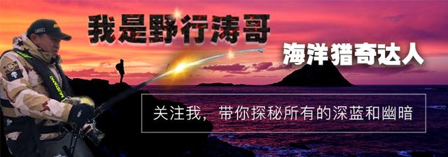 为了鳕鱼,这个弹丸小国和英国皇家海军打了三仗,居然都赢了