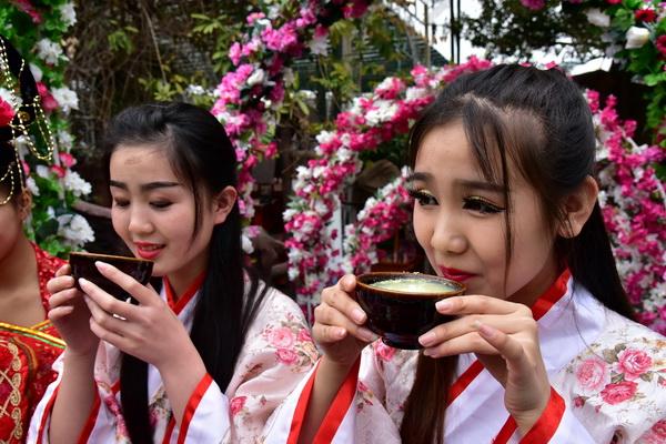 陇南的特色酒,陇南酒厂的酒系列