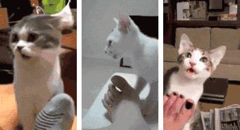 脚臭又脱皮，为什么脚气问题这么难解决？