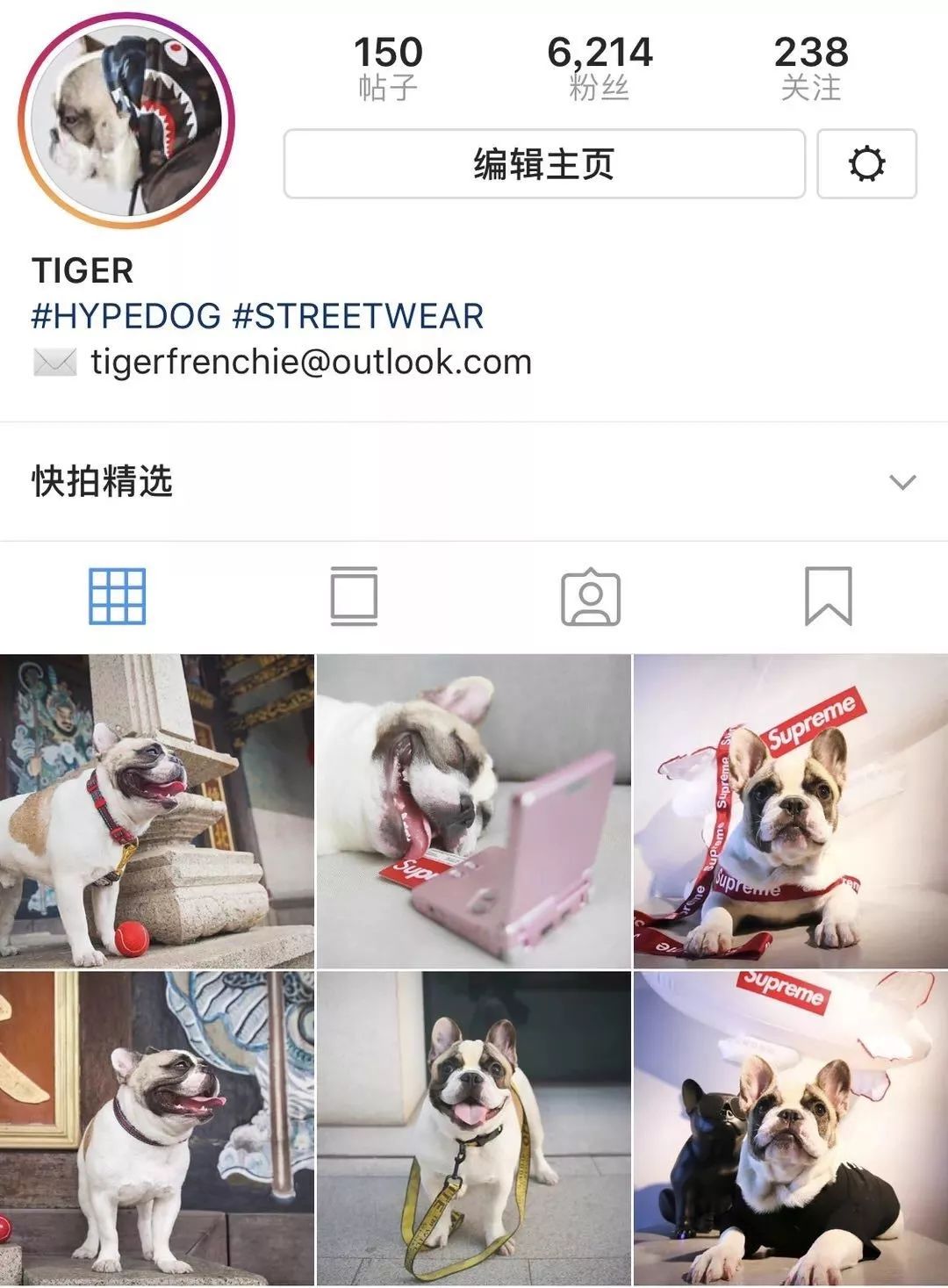 金链子狗潮牌,潮牌boy金链子