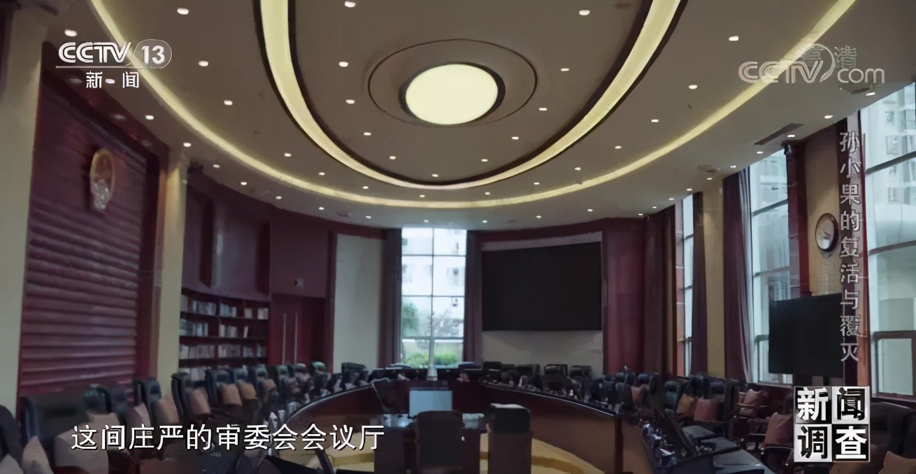 社会与法孙小果,社会评论孙小果