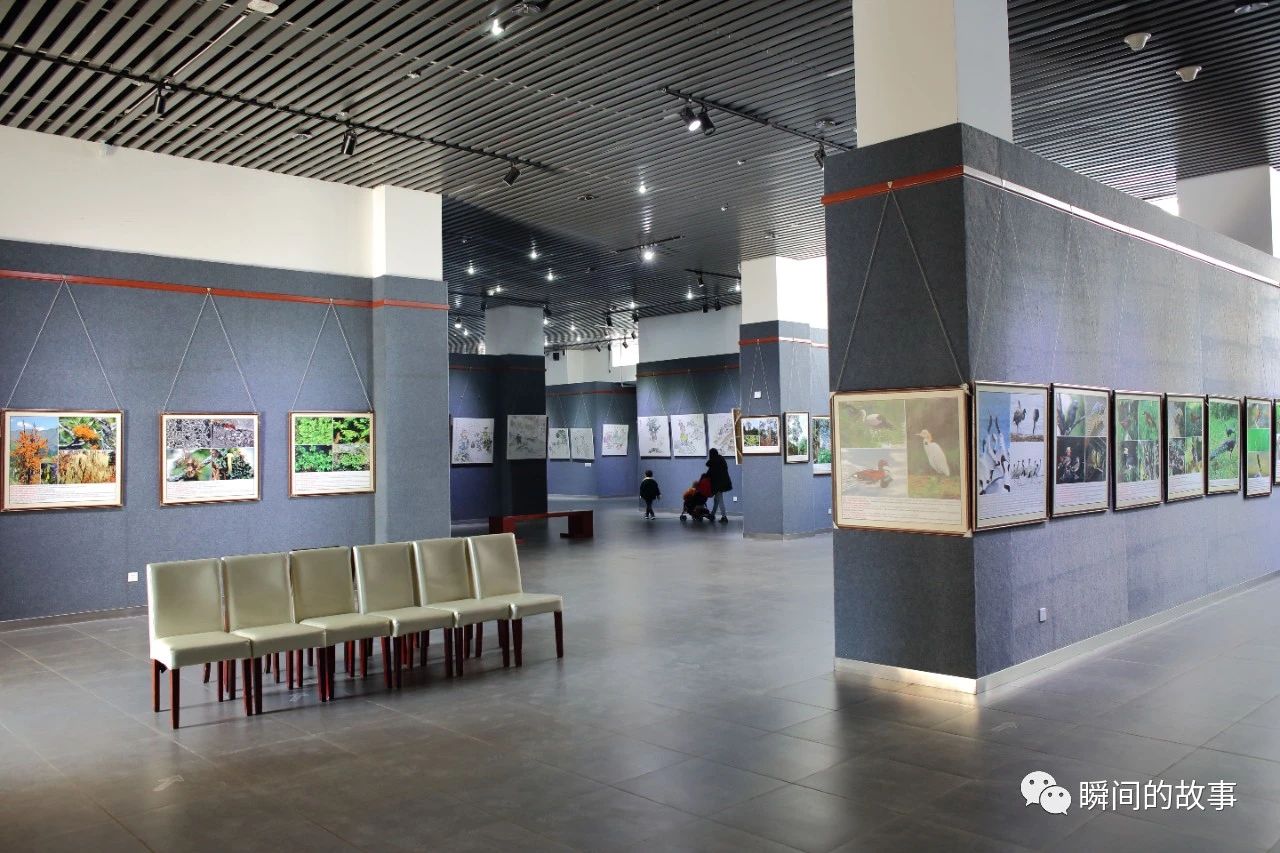 昆明旅游攻略云南民族博物馆,昆明三日游云南省博物馆