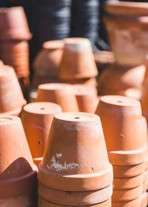 绿植快死了用什么方法可救活,你养的花为什么老死