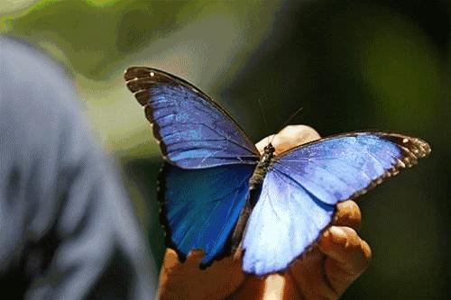 只要19.9元！3000+昆虫萌宠来袭！首届昆虫萌宠主题沉浸展空降武汉