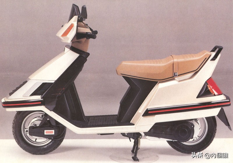 鑴遍鑰屽嚭鐨勪汉,鑴卞奖鑰屽嚭