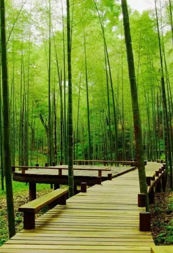 杭州隐宿网红民宿,杭州隐居山林古风小屋