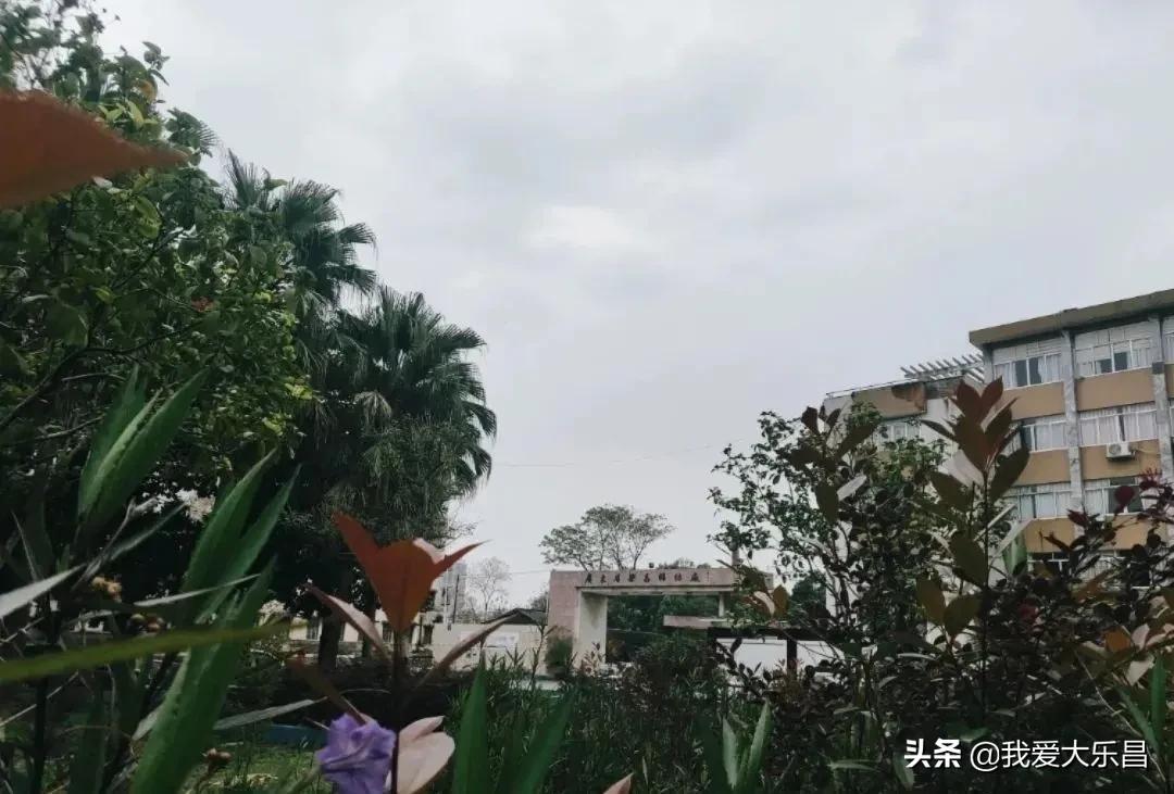 乐昌市棉纺厂历史,乐昌市最老的纺织厂