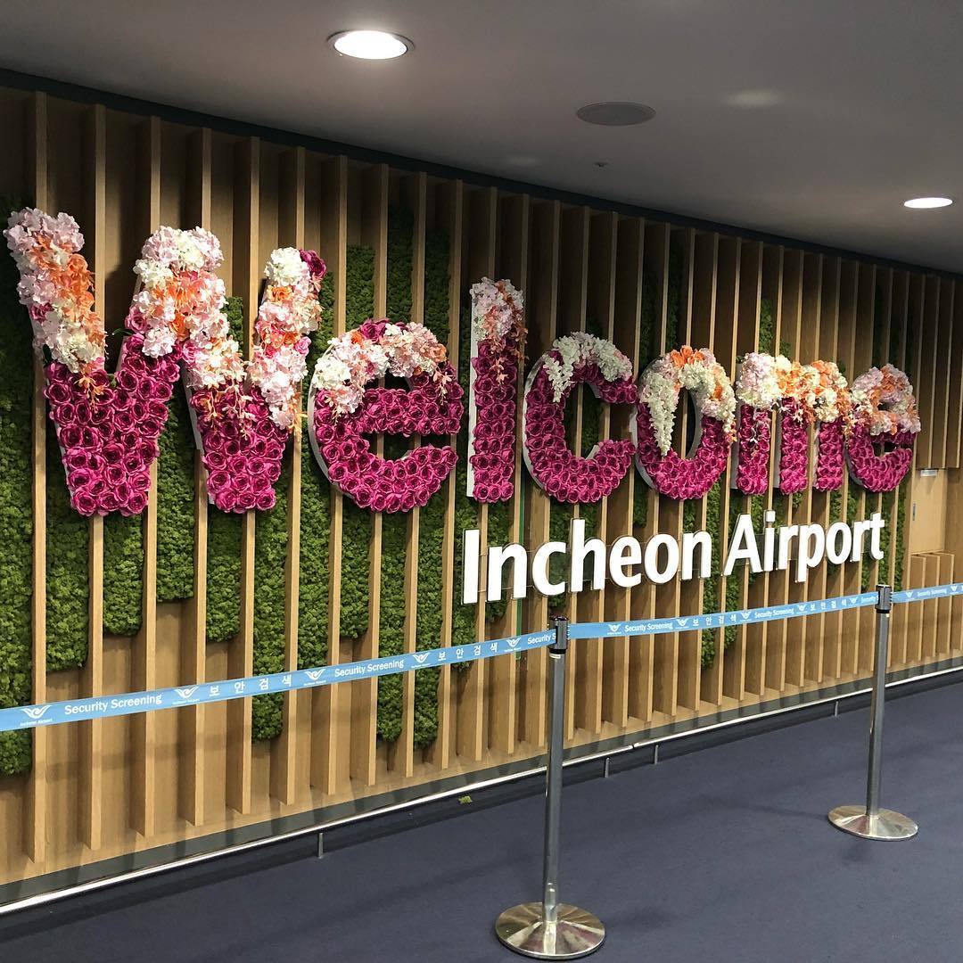 机场免税店值得推荐的好物,机场免税店哪些东西值得买