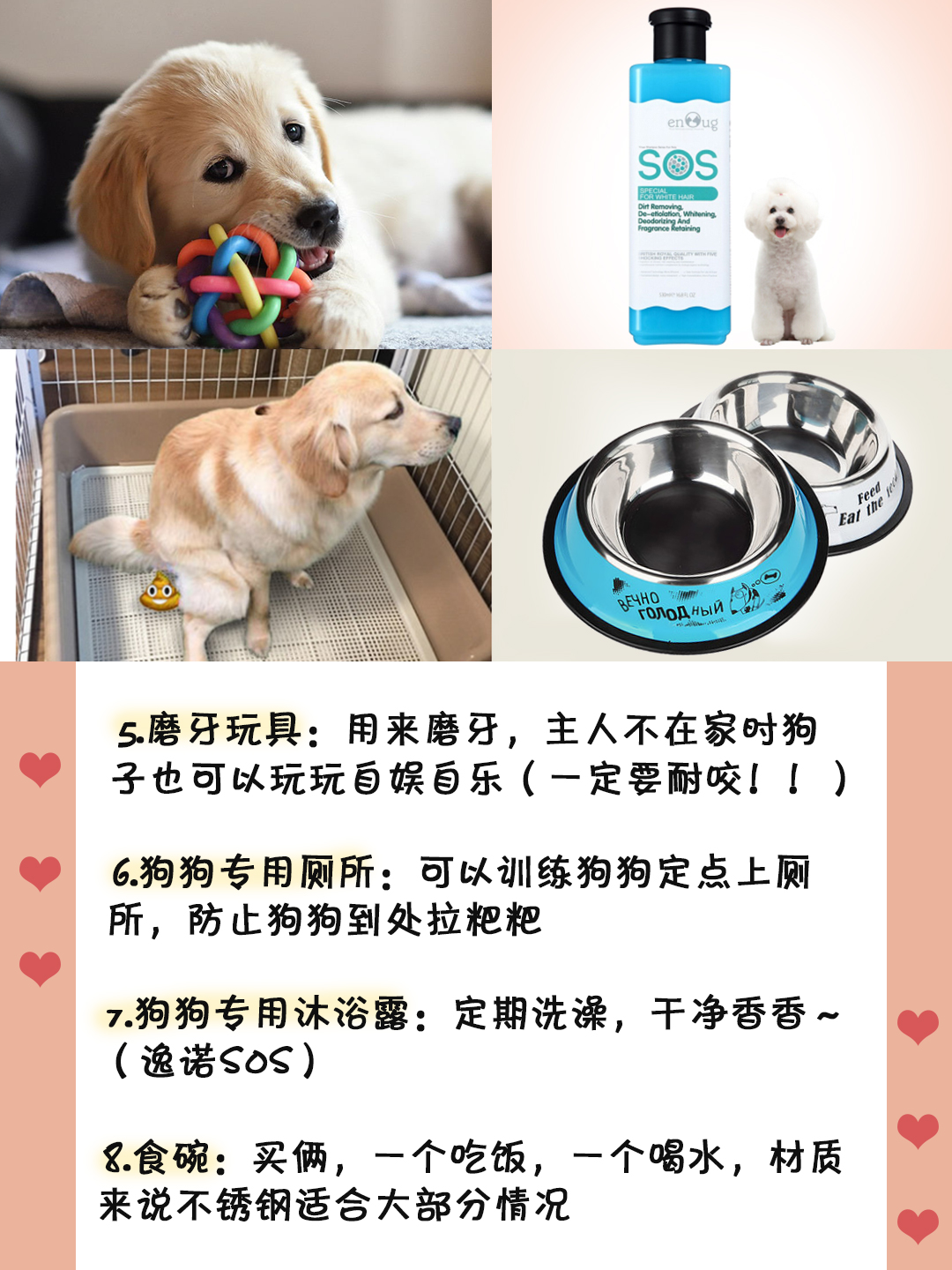 养狗新手必买物品,养狗必备物品清单大全