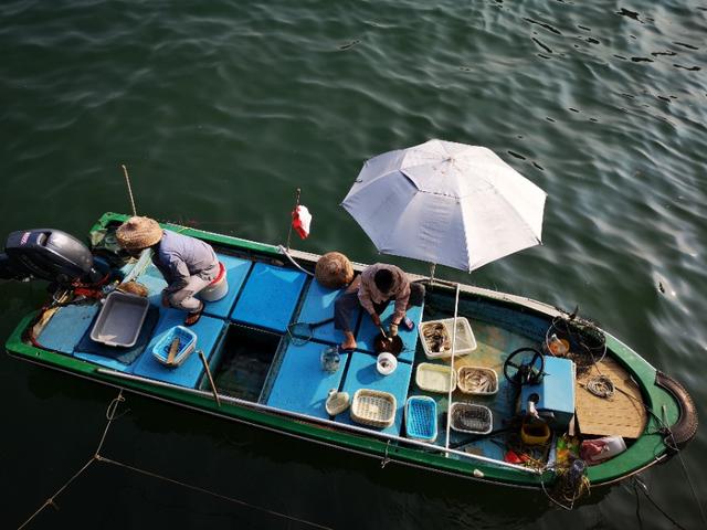 香港西贡游记下,香港最后一天去哪玩好