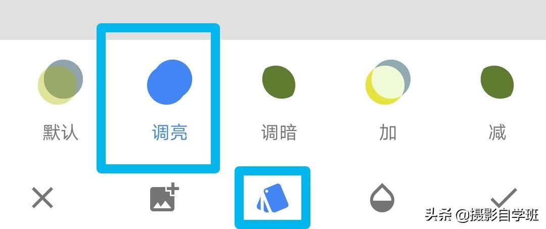 拍春天花的摄影技巧,拍美花草学这9个摄影技巧