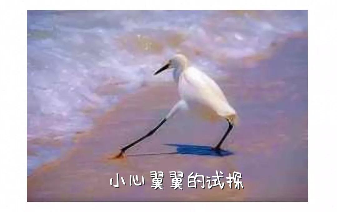 瑞金转账转错人怎么办,1000块钱微信转账转错能立案吗