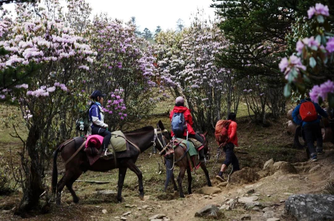 适合新手的人生第一座雪山,人生中的第一座雪山应该爬哪里