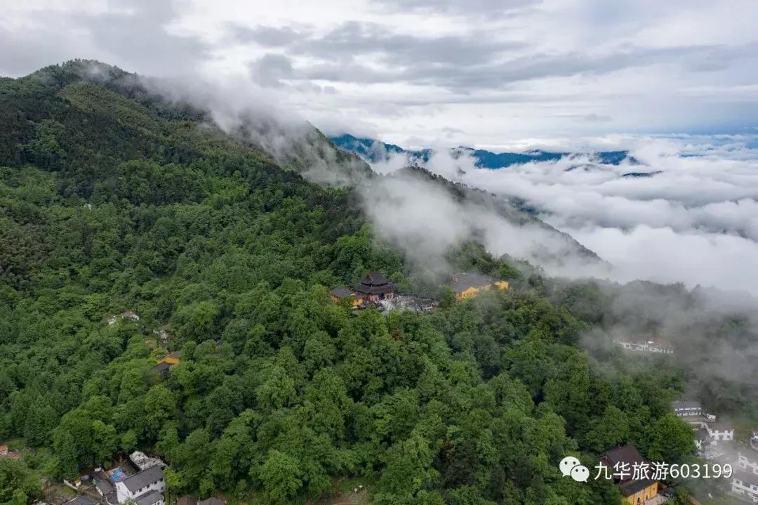 合肥一日游九华山,合肥人免费游九华山的自拍