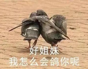 高段位心机女电视剧,心机婊宫斗合集