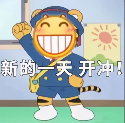 重庆沙坪坝区5朵金花小学,重庆公认最好的五个小学